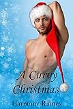 A Curvy Christmas: Robin's Romance (BBW Romance)