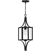Savoy House 5-475-144 Raeburn Traditional Beveled Clear Glass Outdoor Hanging Lantern, 1-Light 60 Watt, 25" H x 9" W, Matte B
