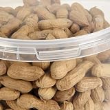 Garden Ting Premium Peanuts In Shell Monkey Nuts 3L Tub view 2