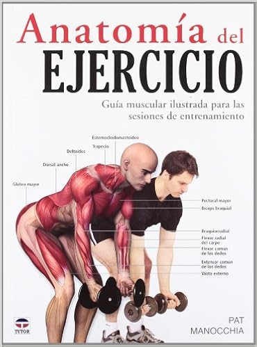 Anatomia Del Ejercicio En Forma In Shape Spanish Edition Manocchia Pat 9788479027261 Amazon Com Books