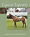 The Equine Tapestry: An Introduction to Colors and Patterns by