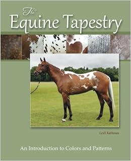 The Equine Tapestry An Introduction To Colors And