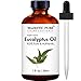Majestic Pure Eucalyptus Essential Oil with Glass Dropper - 1 Fl Oz - 100% Pure and Natural Eucalyptus Oil - Premium Grade Essential Oils for Diffuser, Aromatherapy, Soap and Candle Making