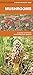 Mushrooms: A Folding Pocket Guide to Familiar North American Species (A Pocket Naturalist Guide)