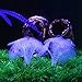 Saim Glowing Effect Artificial Coral Plant for Fish Tank Decor Aquarium Ornament