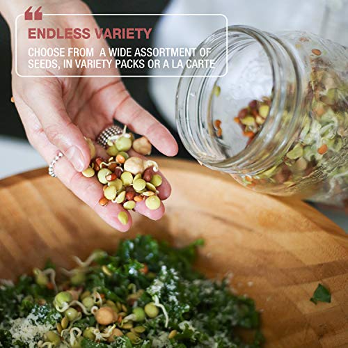Mumm's Sprouting Seeds - Broccoli Brassica Mixed Blend - 200 GR - Sprout Your Own Organic Microgreen - Easy Sprouter Kit - Thumbnail 5