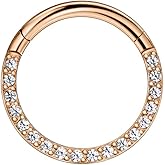 FANSING G23 Titanium Hinged Piercing Rings Hoop for Septum and Daith