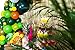 Party Rock Inc Lion King Party Supplies - Jungle Theme Party Supplies - Safari Decorations 158 PCS Balloon Garland Kit for Birthday - Baby Shower - Kids Party Favor