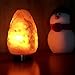 Best Gifts,2 Pack Pink Himalayan Rock Salt Crystal Table Desk NightLights Lamps Lamp (5-8lbs 7-10 inch Each) Copper Metal Base, Dimmer Control, UL Approved Electric Wire 4Bulbs Glow