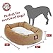 52 inch Khaki & Sherpa Bagel Dog Bed By Majestic Pet Productsthumb 3