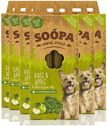 Soopa Dental Sticks Kale and Apple 6 Pack, 6 count (Pack of 1)