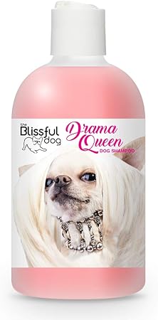 best shampoo for chihuahua puppy