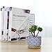 T4U 3 Inch Ceramic Succulent Planter Pots with Bamboo Tray, Japanese Style Porcelain Handicraft as Gift for Mom Sister Aunt Best for Home Office Restaurant Table Desk Window Sill Decoration