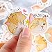 Doraking DIY Decoration Lovely Stickers (Lost Cat)