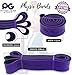 Physix Gear Workout Bands for Pullups Set, Pull Up Resistance Bands Set, Long Bands for Workout and Exercise Bands Pull Ups, Pull Ups Resistance Bands, Purple/Green/Blue/Pink (4 Pack), 82in (208cm)