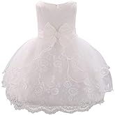 OBEEII Baby Girl Christening Baptism Gown Flower Embroidery Tutu Dress Special Occasion Tulle Dress