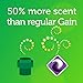 Gain Flings Laundry Detergent Pacs 14 Count