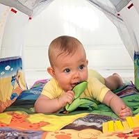 baby einstein tunnel