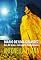 Livro Diário de uma gravidez