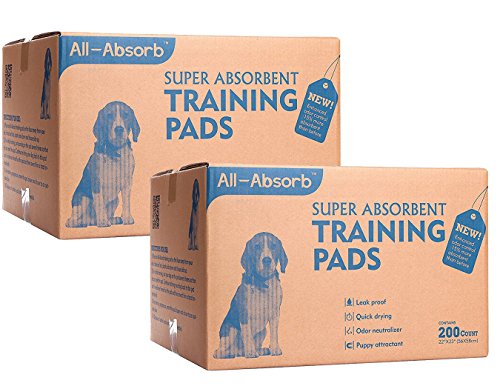 All-Absorb 200 Count Bulk Packaging Training Pads, 22" x 23" (400-Count)