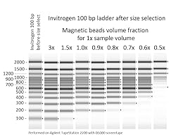 Magnetic Beads for DNA Purification, 100-1000 Base