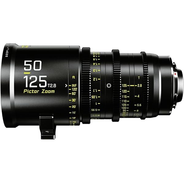 Amazon.com : DZOFILM Hard Case for Pictor Zoom 2 Lens (50