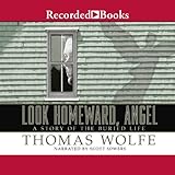 Look Homeward, Angel