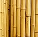 Natural Rolled Bamboo Fencing 3/4