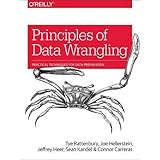 Principles of Data Wrangling: Practical Techniques for Data Preparation