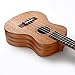 Afuaim Ukulele Soprano 21 Inch Mahogany Uke AUM-21M Ukulele Pack with Gig Bag