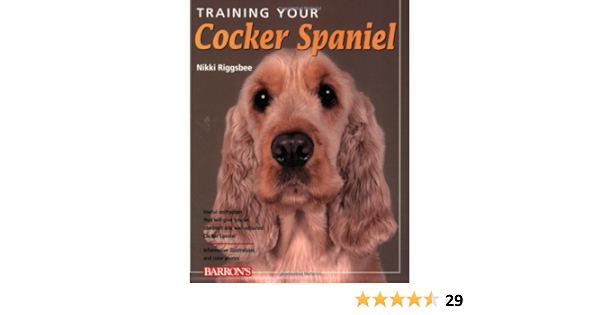 exclusively spaniels