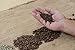 Peru Coffee - Whole Bean Coffee - Freshly Roasted Coffee - Cubico Coffee - 12 Ounce (Single Origin Cenfrocafe Peruvian Coffee) - Gift Box