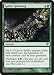 Magic: the Gathering - Spider Spawning - Innistrad