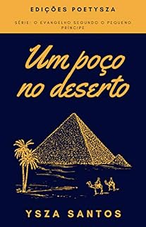 Livro Um poço no deserto (O Evangelho segundo o Pequeno Príncipe Livro 1)