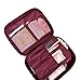 Cherry Roll Clear Cosmetic Makeup Bag Toiletry Travel Kit Organizer (flower printing wine red)