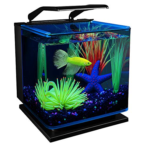 GloFish Betta Aquarium Kit - Image 4