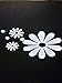 Chase Grace Studio Daisy Flower Hippie Free Spirit Vinyl Decal Sticker|White|Cars Trucks Vans SUV Laptops Wall Art|7.5