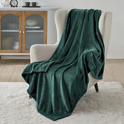 Bedsure Fleece Blanket Throw Blanket Emerald Green 300GSM Throw Blankets  for Couch, Sofa, Bed, Soft Lightwei