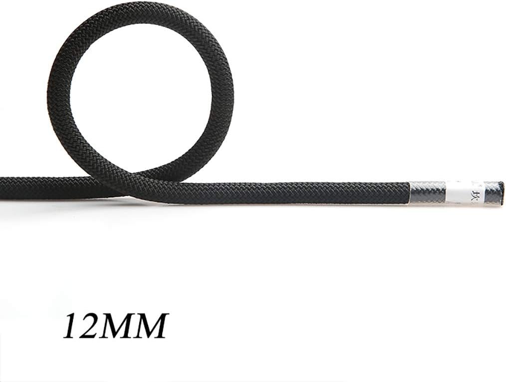 LBYMYB Climbing Rope Static Rope Wear Rope Outdoor Climbing Rescue Aerial Work Rope Diameter 12mm Black Climbing rope (Size : 80M)
