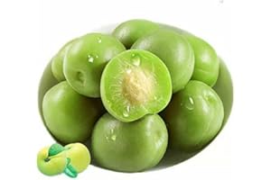JZFDSBA Green Plum Preserved Fruit Snacks, Sour and Crispy, 110g