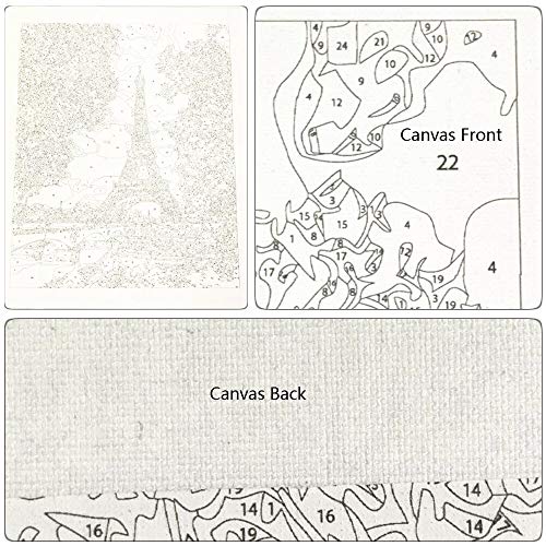 YANXIN DIY Paint by Numbers Adults,16x20 Inch Canvas Painting by