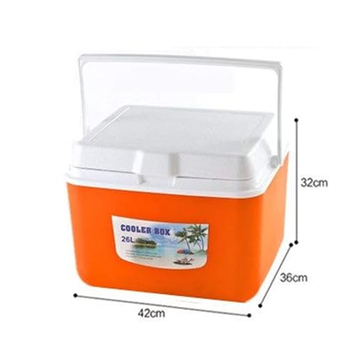 Compra Portátil Nevera Electrica Portátil &warmer, aire Libre ...