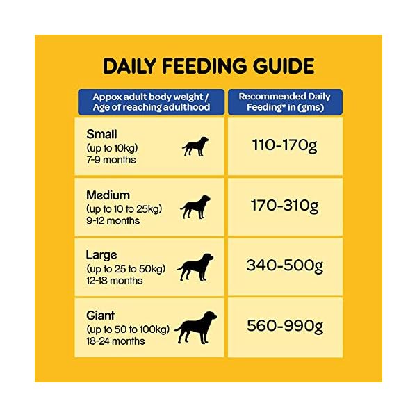Pedigree Adult Dry Dog Food, Chicken & Vegetables, 10kg Pack Dogz.in