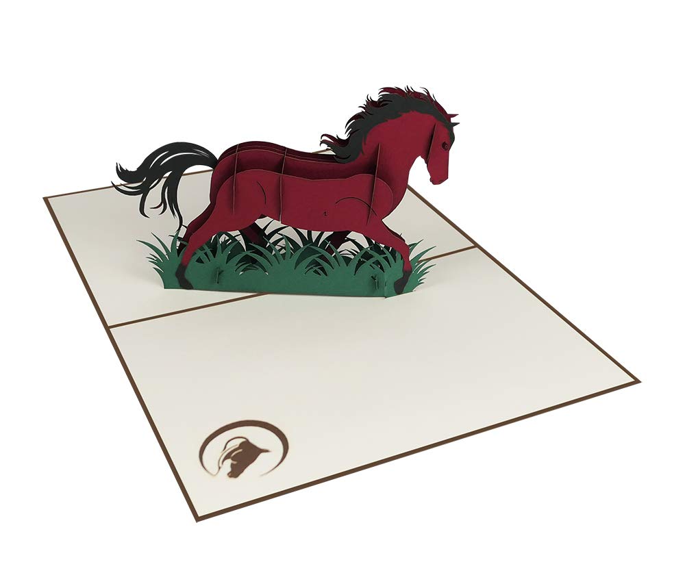 Invitation Sweetpopup Felicitations Cheval 155 Voeux Equitation Vacances Zoo Coupon Animaux Carte 3d Pop Up Pour Anniversaire Sport Cartes Decorations Et Accessoires De Fetes Mosquitocontrolequipment Com