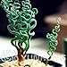 Seeds Shopp 100 pcs Rare Sprial Grass Flower Seeds Succulents plant Grass seeds DIY bonsai Potted Garden Home Exotic Plant Interesting
