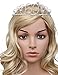 BABEYOND Crystal Birthday Tiara Crown Princess Birthday Crown Hair Accessories Happy 60th Birthday Crown Tiara for Women (60 Birth)