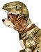 Forum Novelties Unisex-Adult's Pet Costume-Dinosaur, Multi, Standard