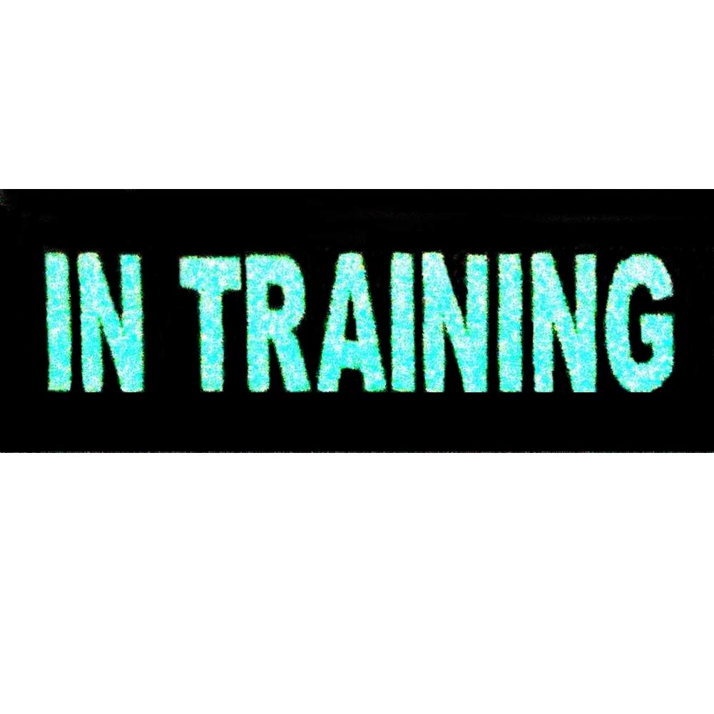 Glow in Dark in Training Service Animal Vests/Harnesses Emblem Embroidered Fastener Hook & Loop Patch, 4 X 1.5 Inch