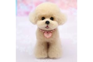 BKDRL Dogs Needle Felt Needle Felting Kit Wool Felting Kit for Beginners Includes All Tools and Instructions (Teddy)