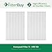 2 - FilterBuy Honeywell R Filters, HRF-R3 HEPA Replacement Filters. Designed by FilterBuy to fit Honeywell HPA-090 Series, HPA-100 Series, HPA200 Series & HPA300 Series Air Cleaning Systems.